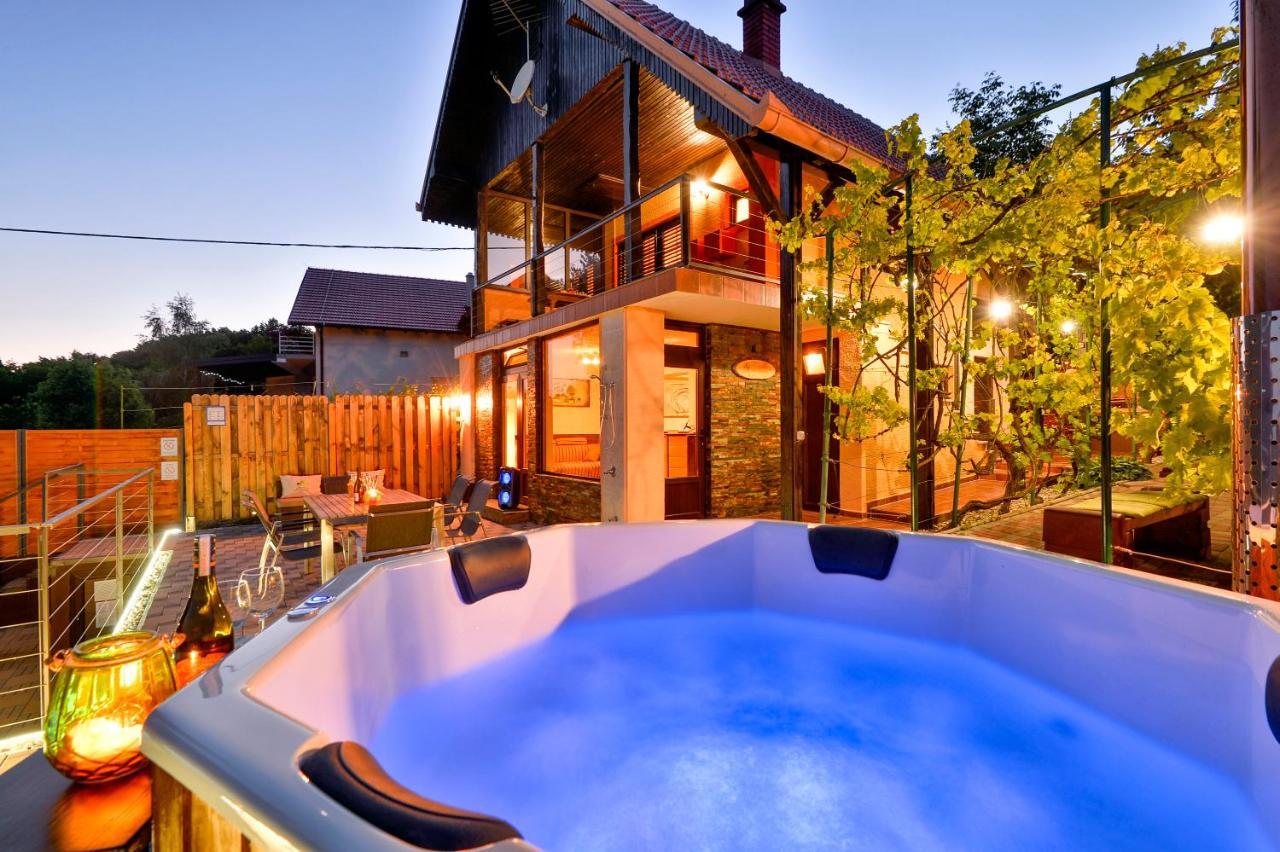 Juras Country House, Bazen, Sauna ,Hot Tube,Vrt Sveti Ivan Zelina Bagian luar foto